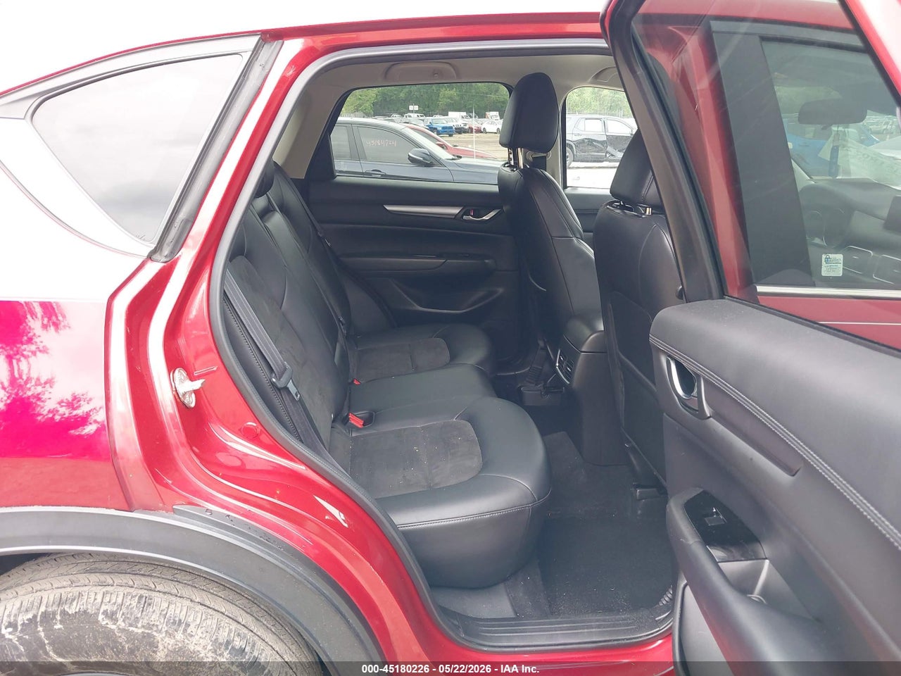 Image 8