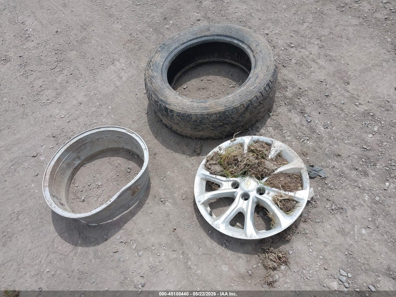 Image 12