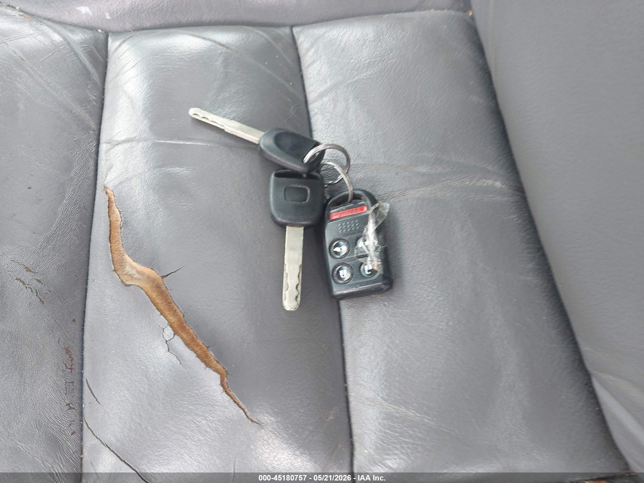 Image 11