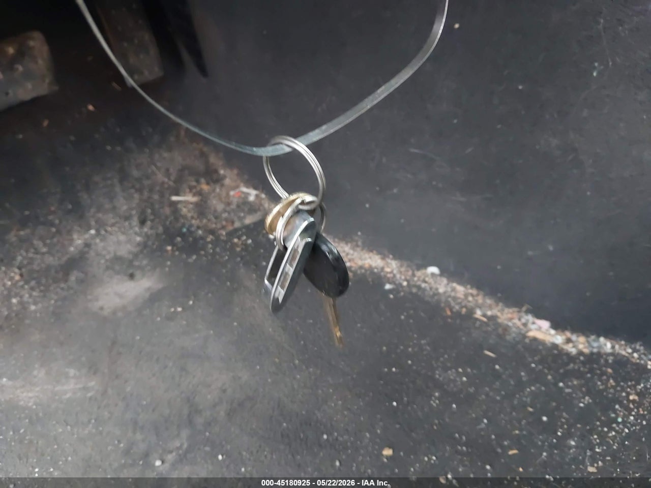 Image 11