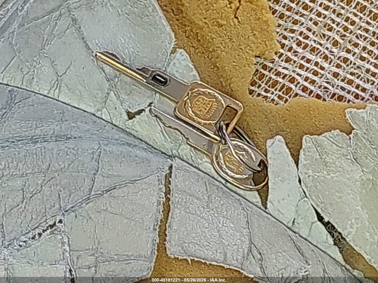Image 11