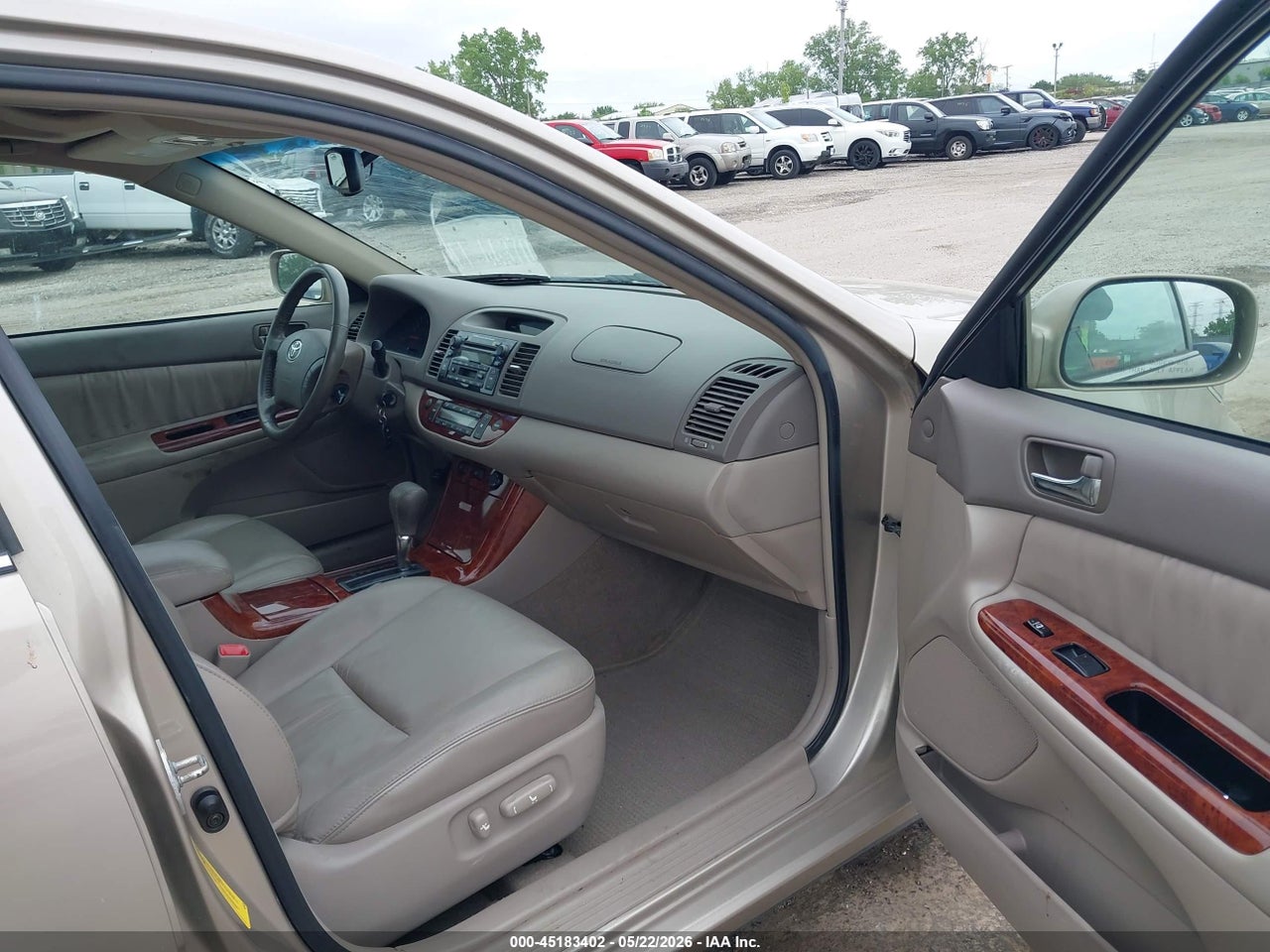Image 5