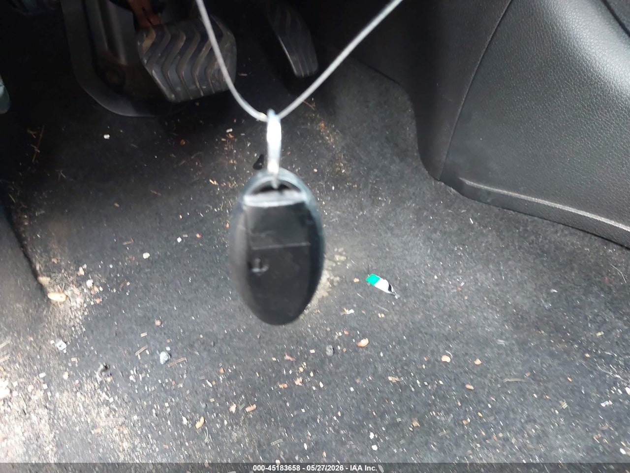 Image 11