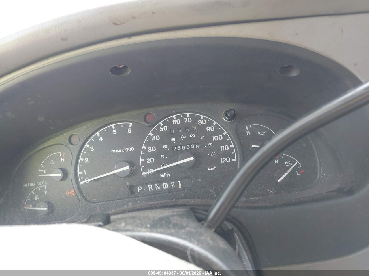 Image 7
