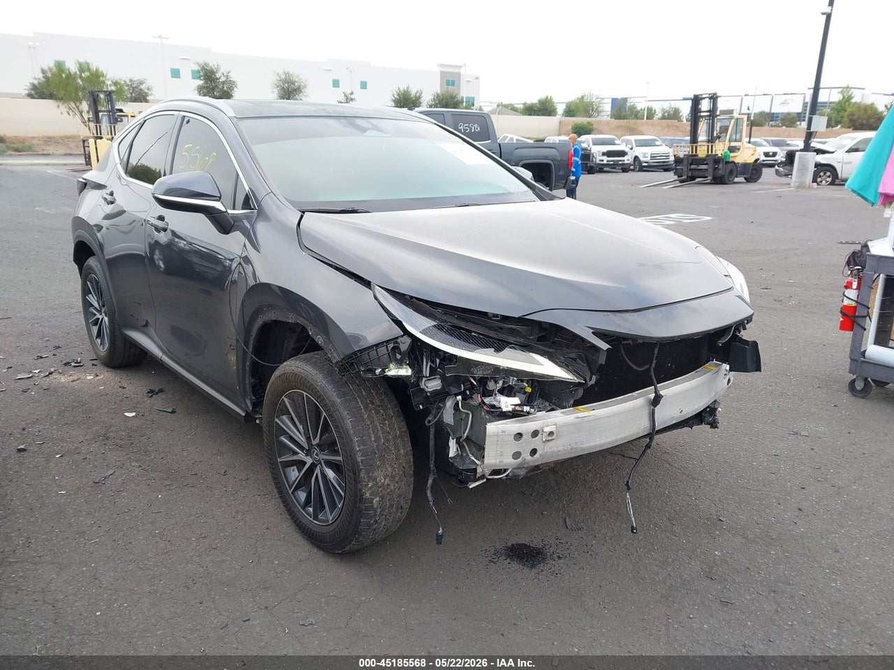 2024 Lexus NX