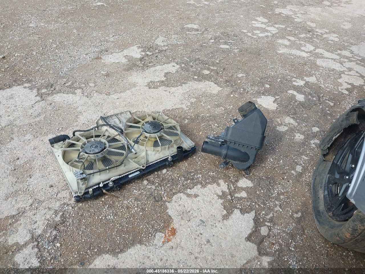 Image 12