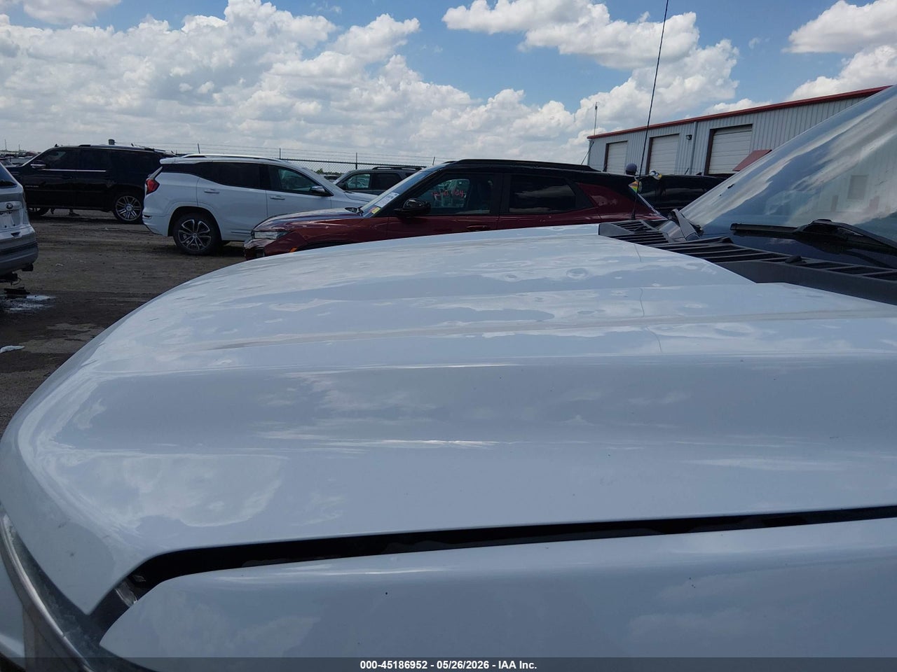 Image 6