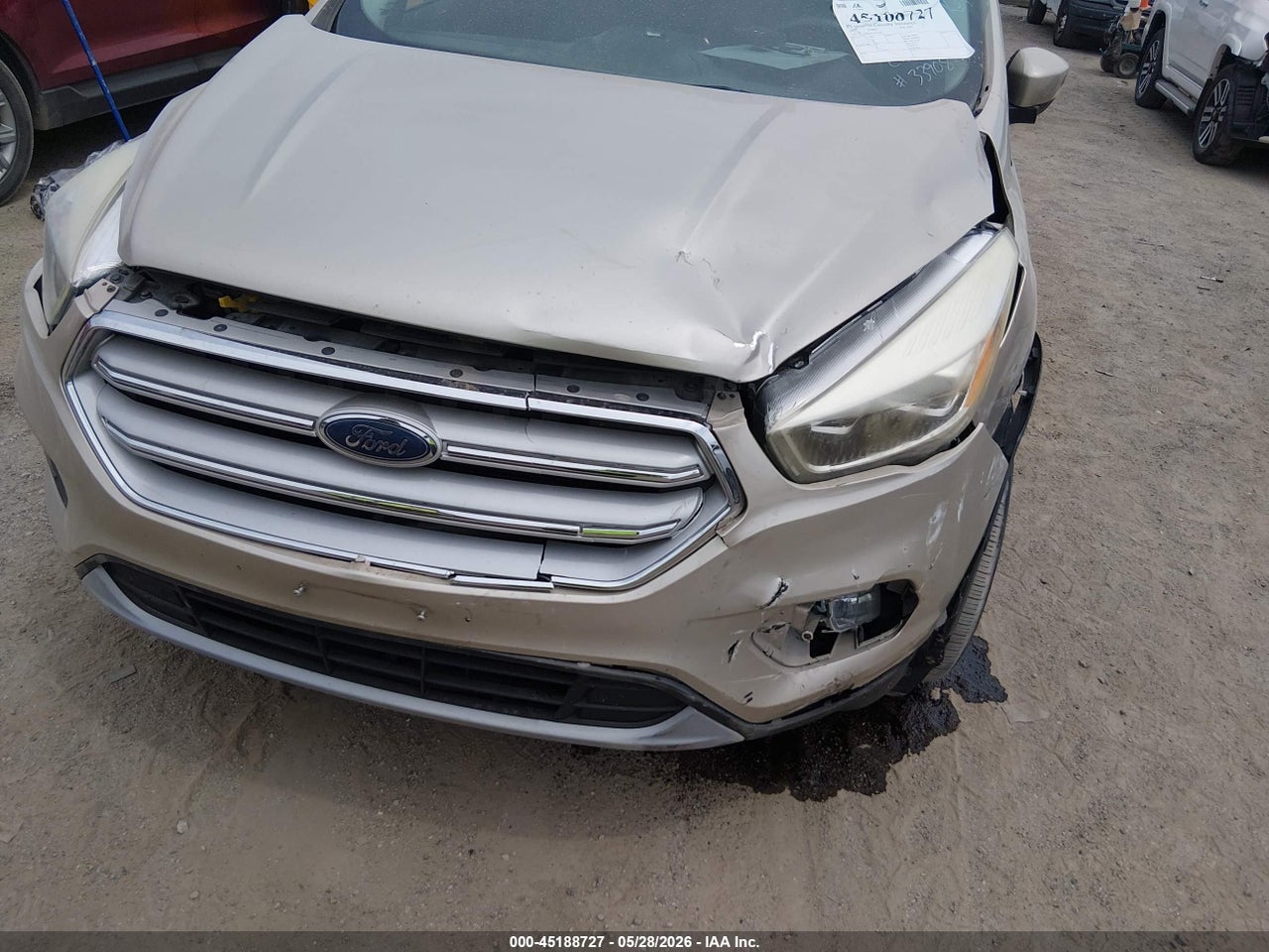 Image 6