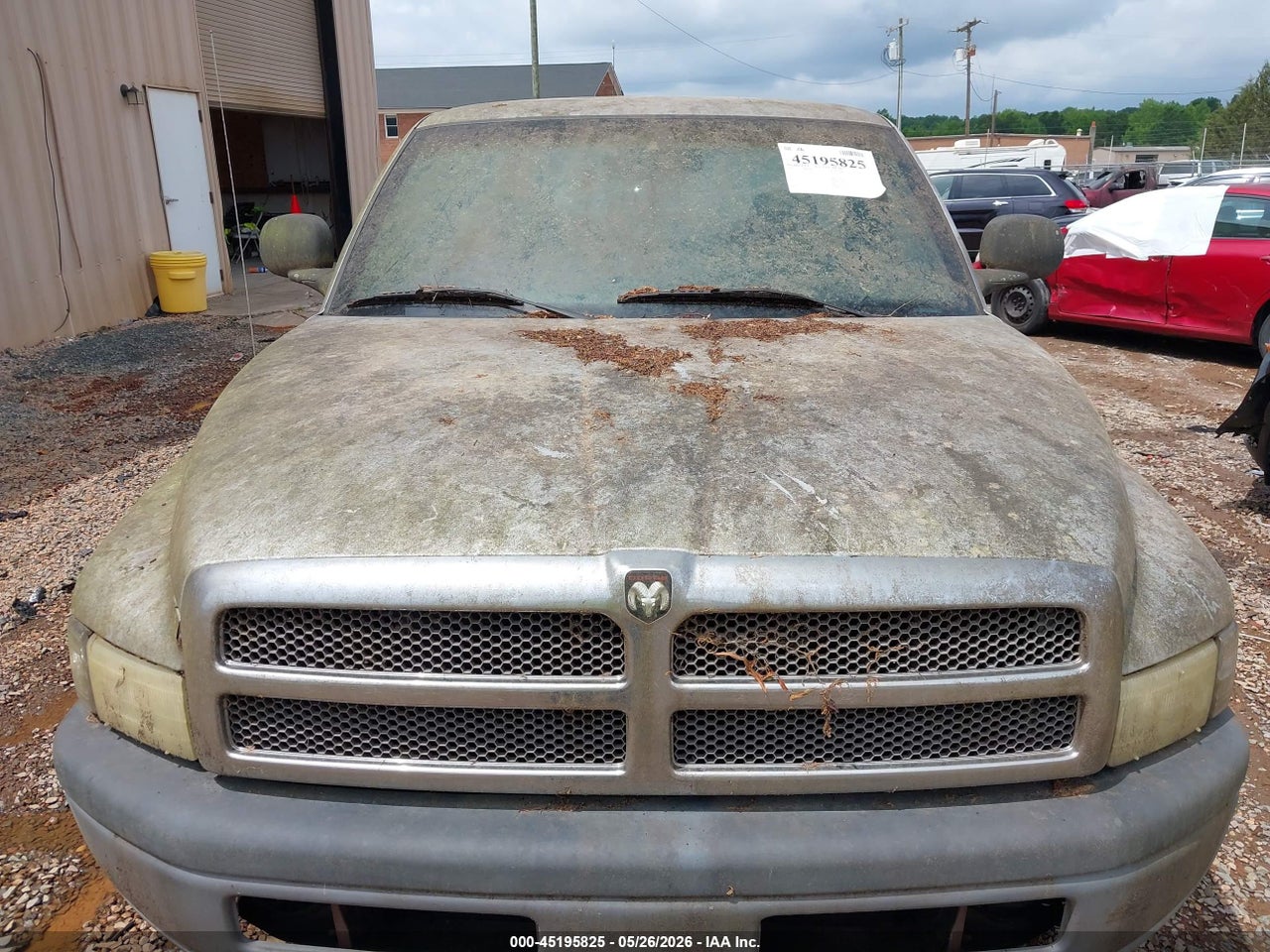Image 6
