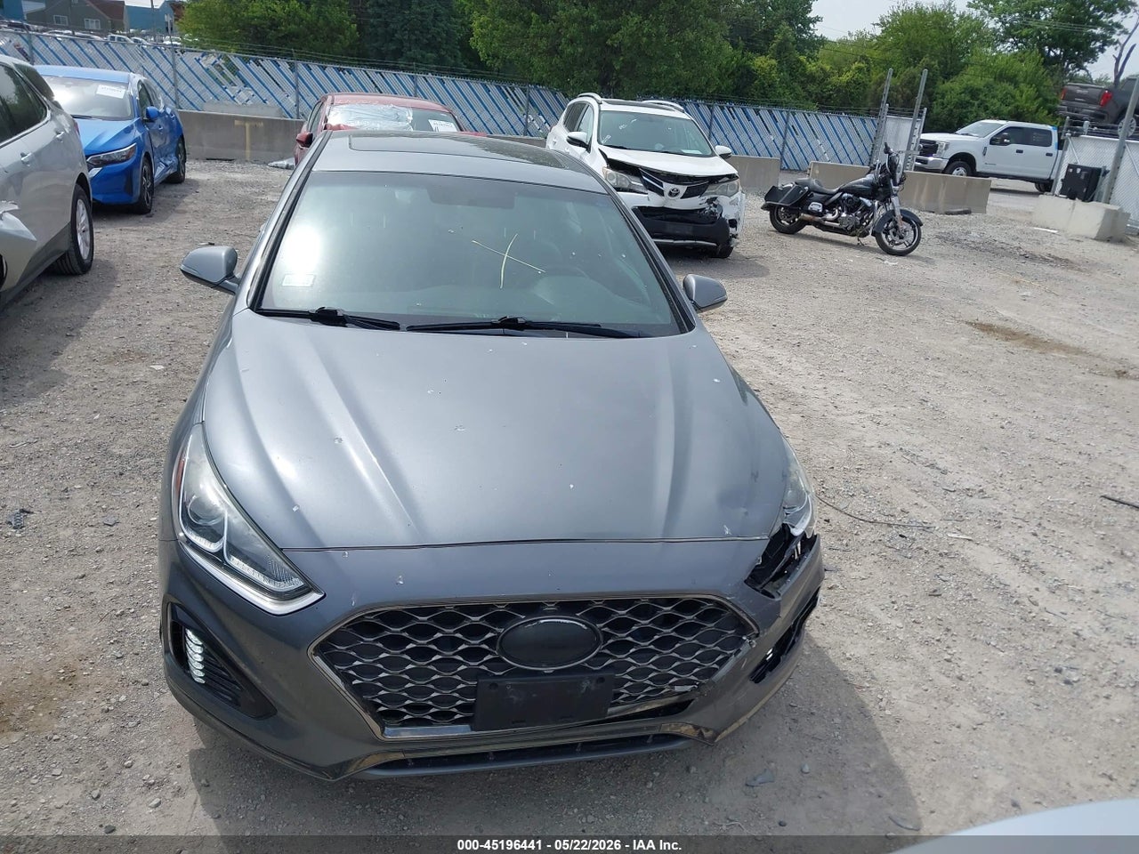 Image 12