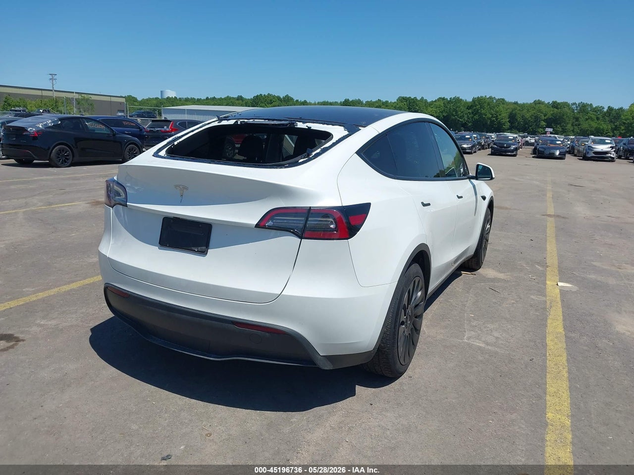 2023 TESLA MODEL Y RWD thumbnail 5