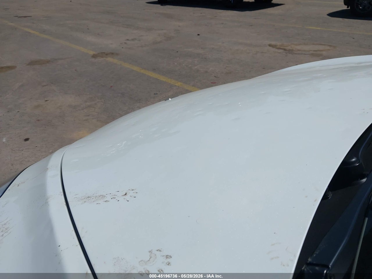 2023 TESLA MODEL Y RWD thumbnail 7
