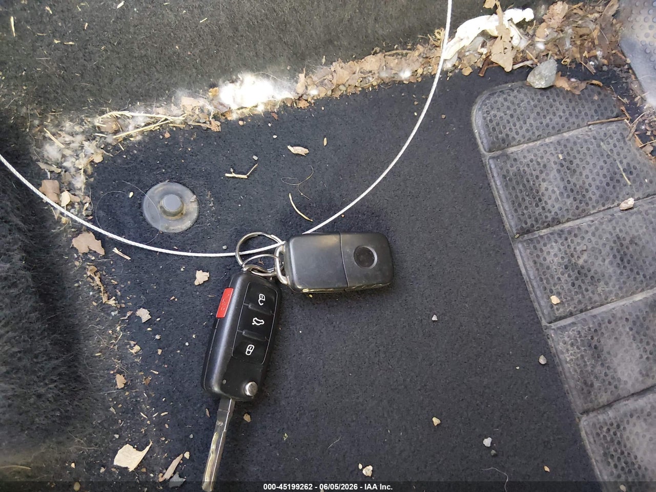Image 11