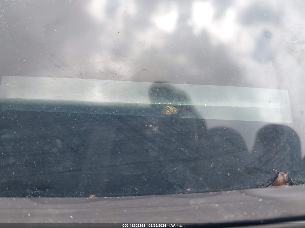 Image 12