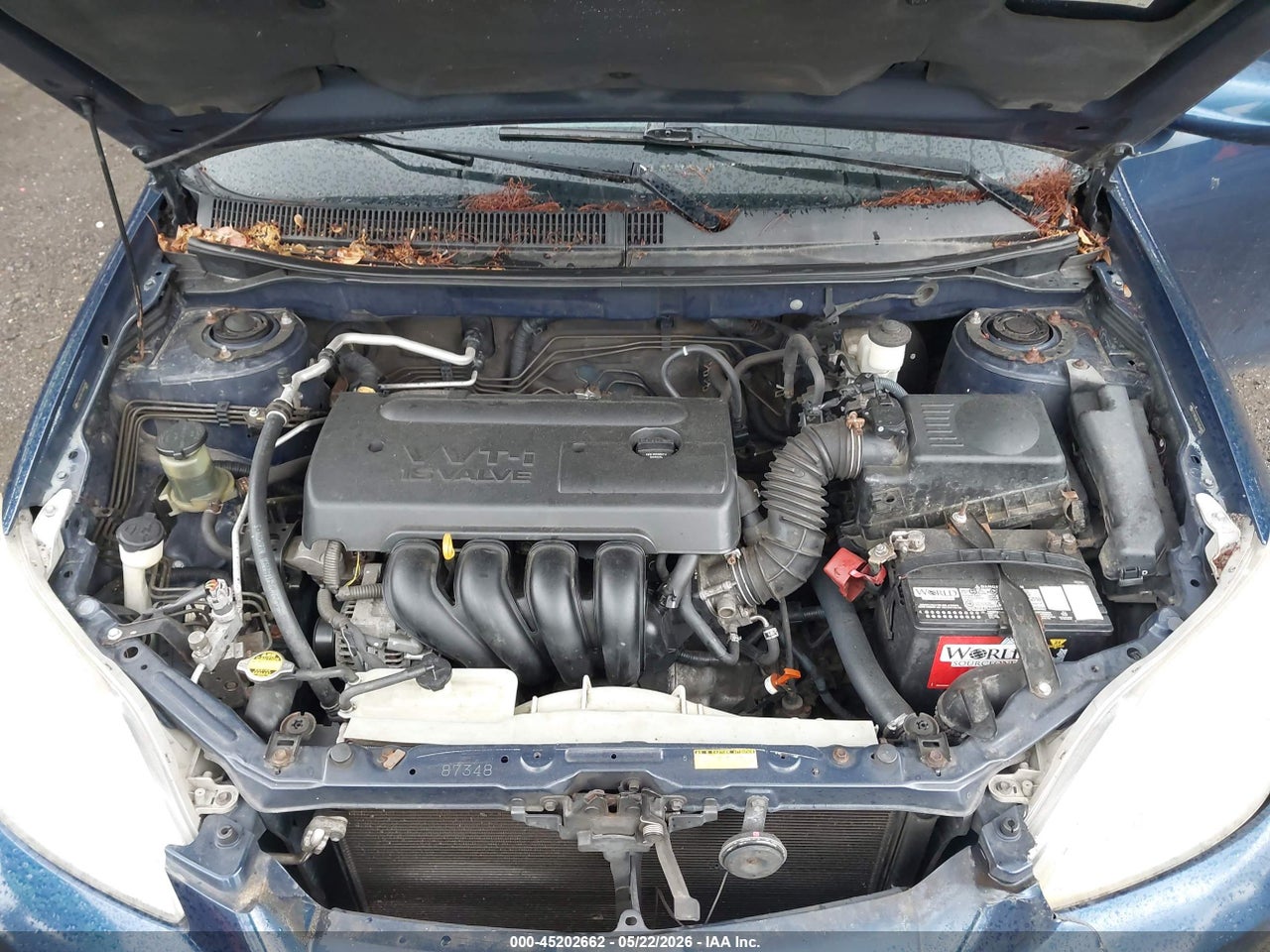 Image 10