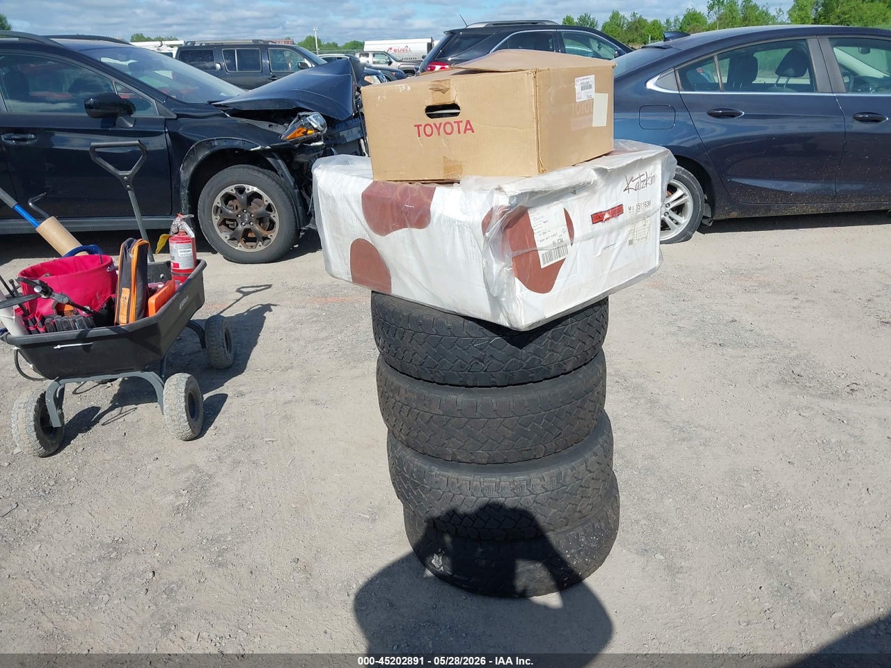 Image 12