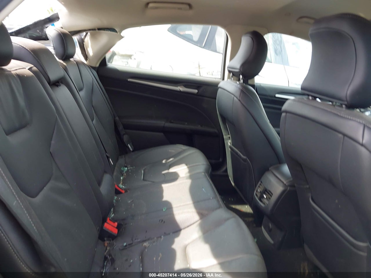 Image 8
