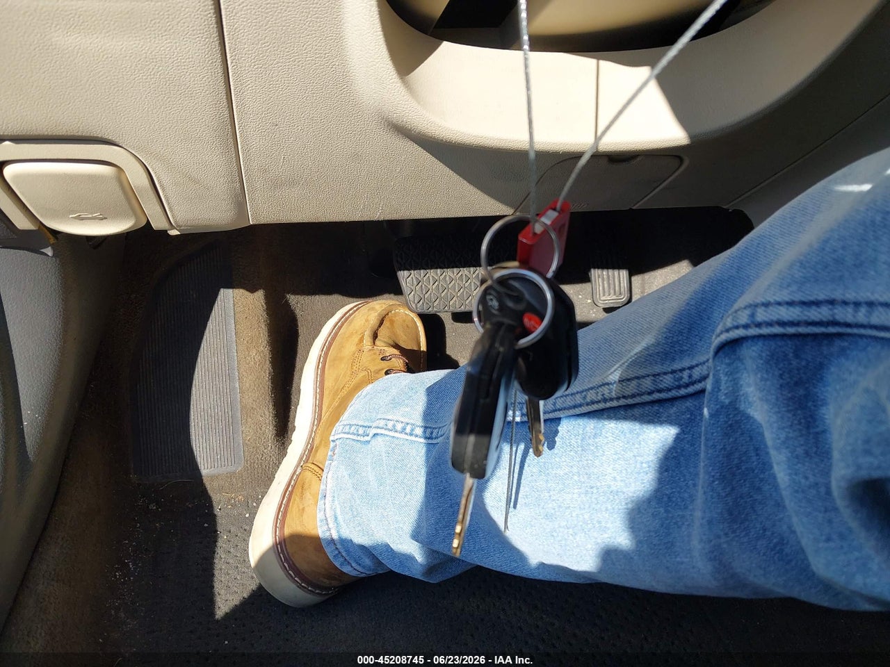 Image 11
