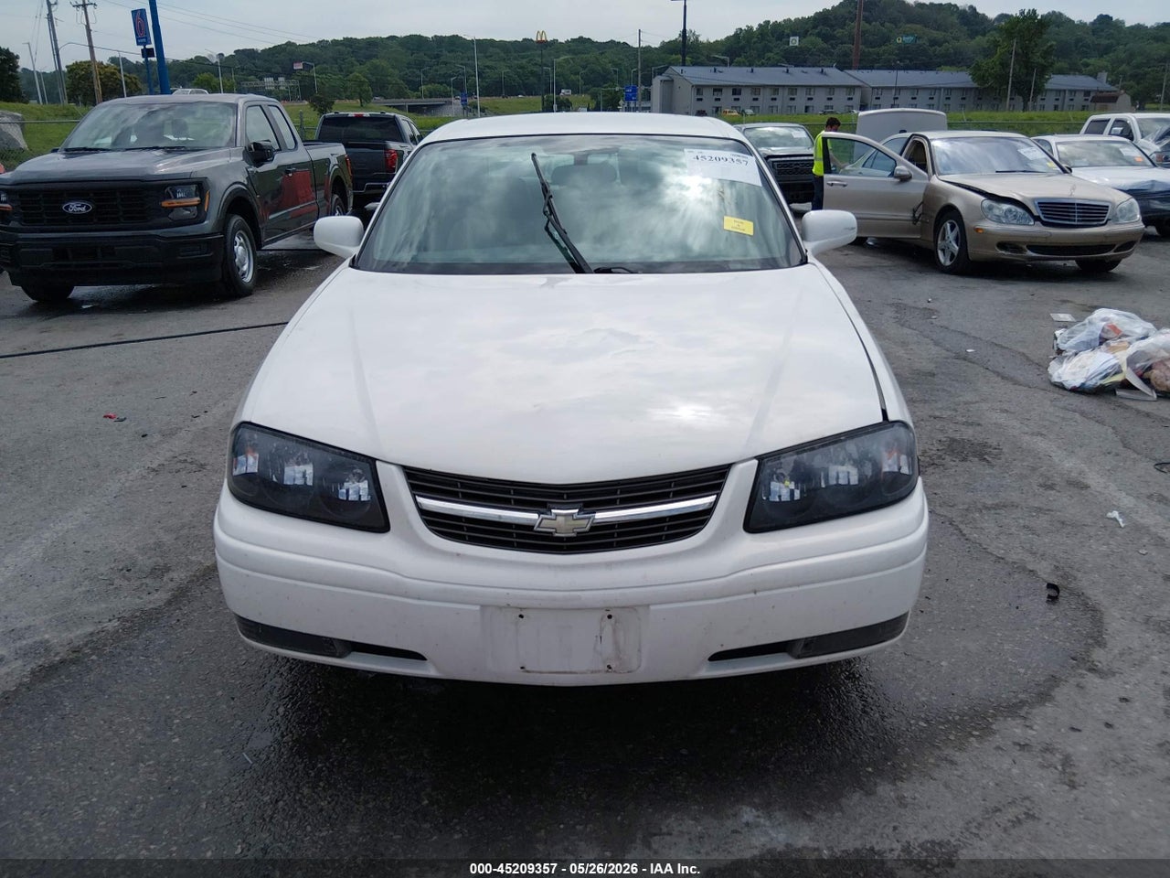 Image 12