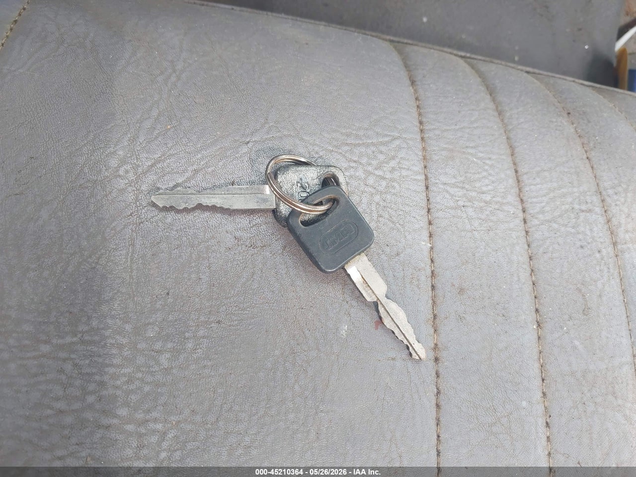 Image 11