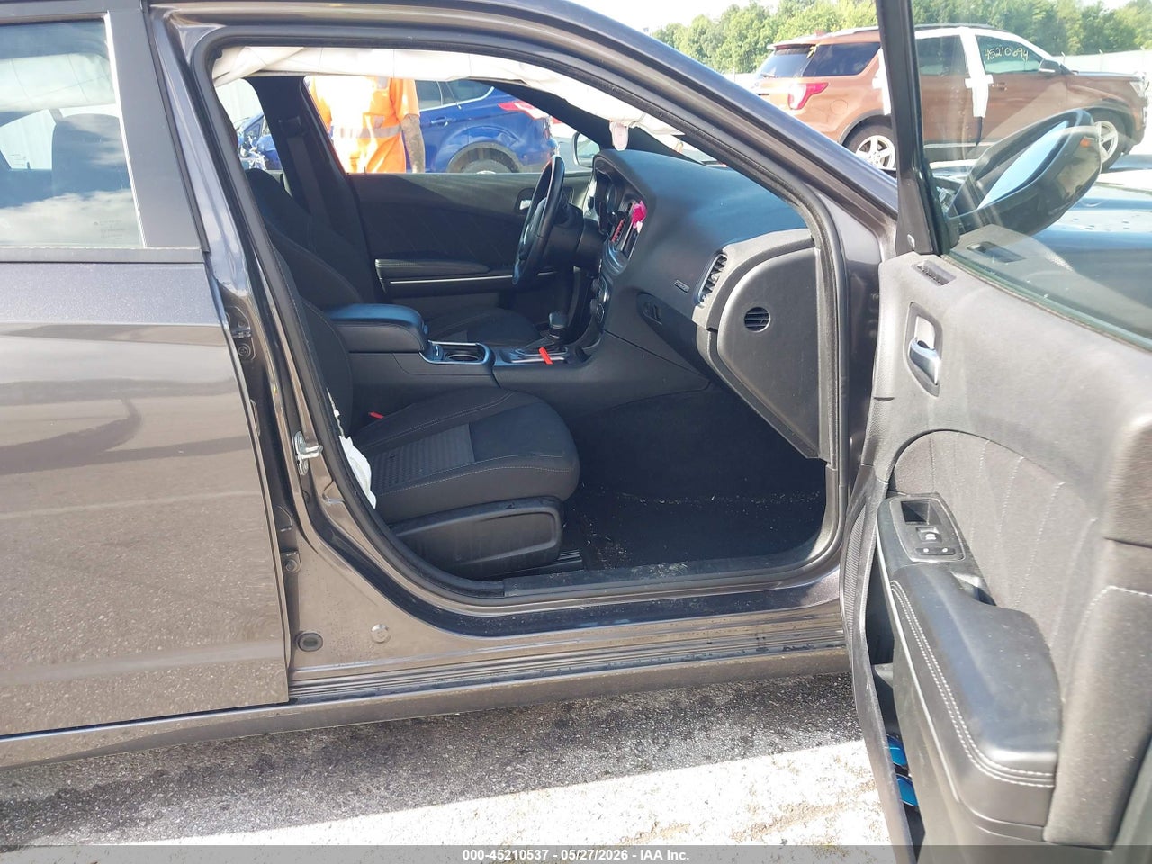 Image 5