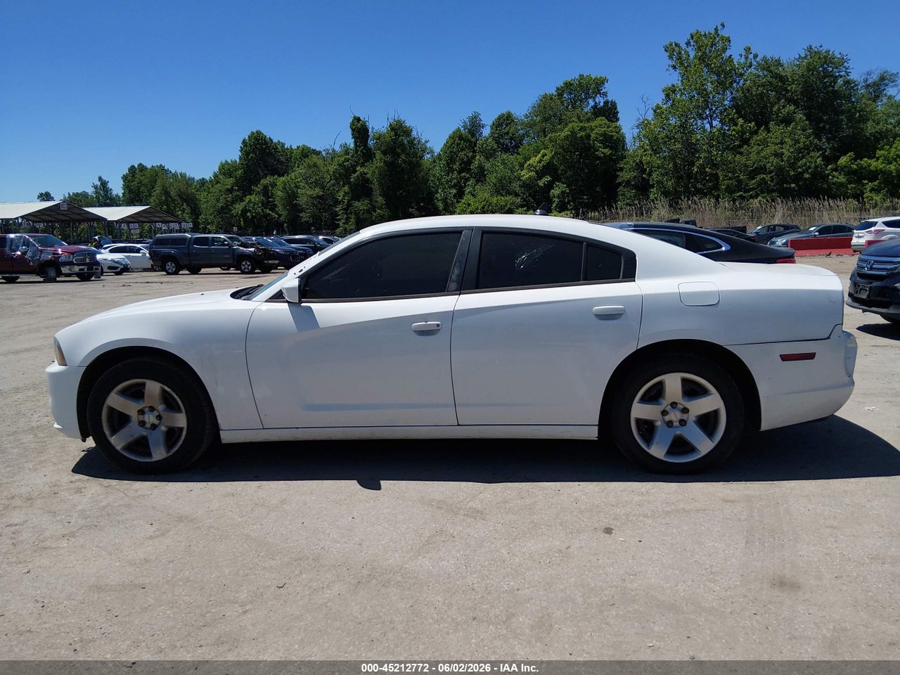Image 14