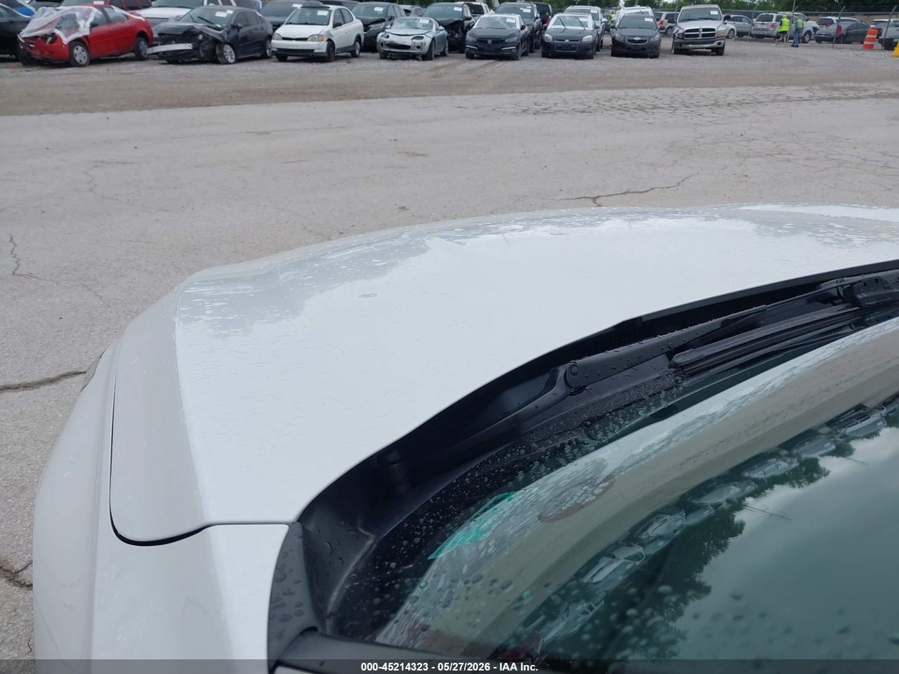 Image 6