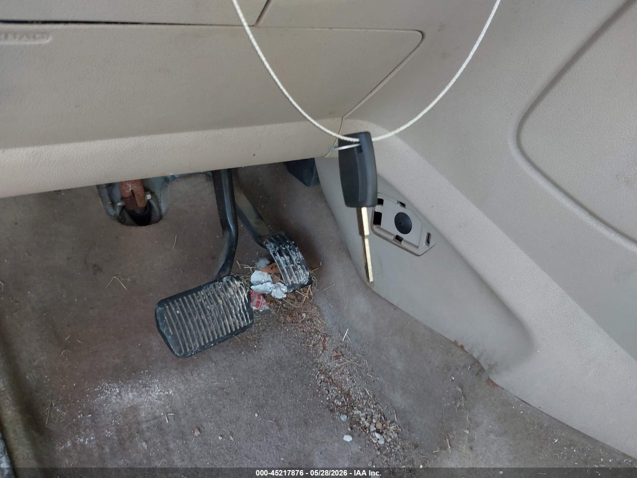 Image 11