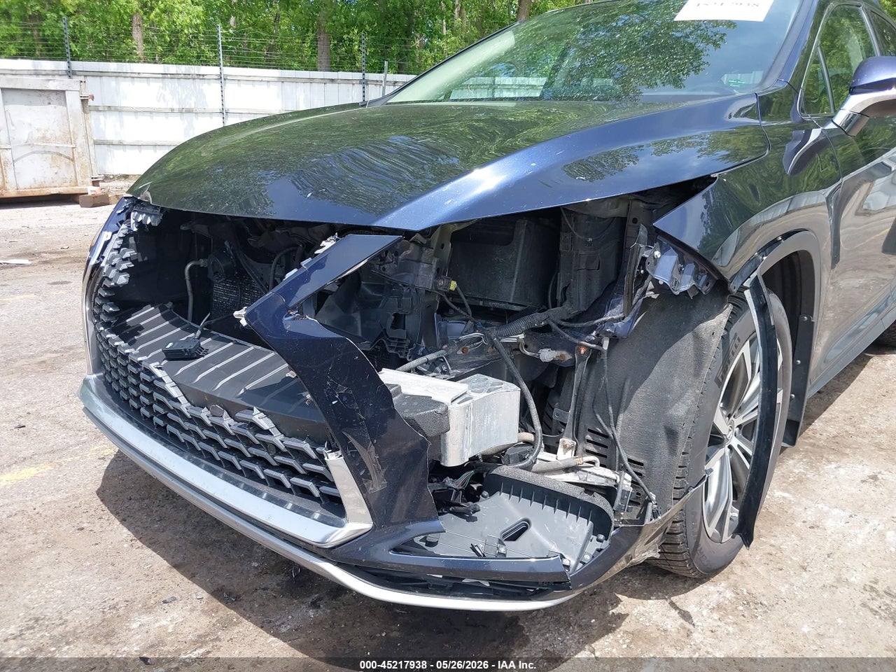 Image 17
