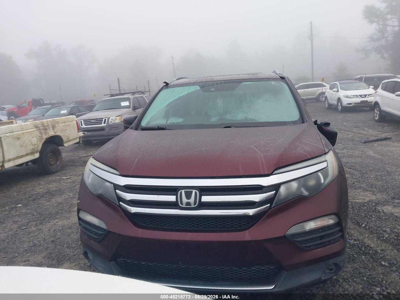 Image 12