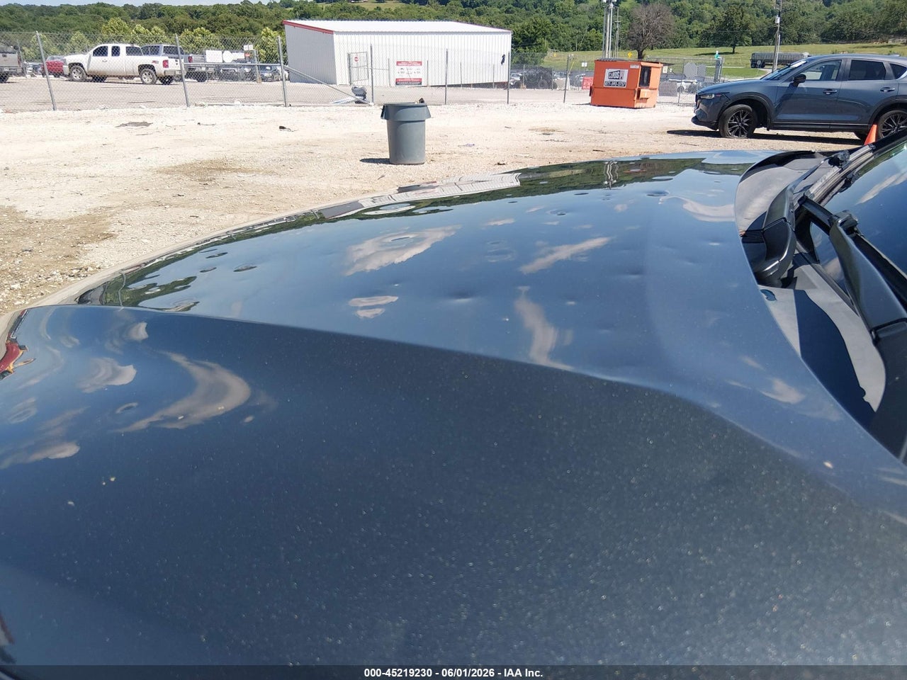 Image 6