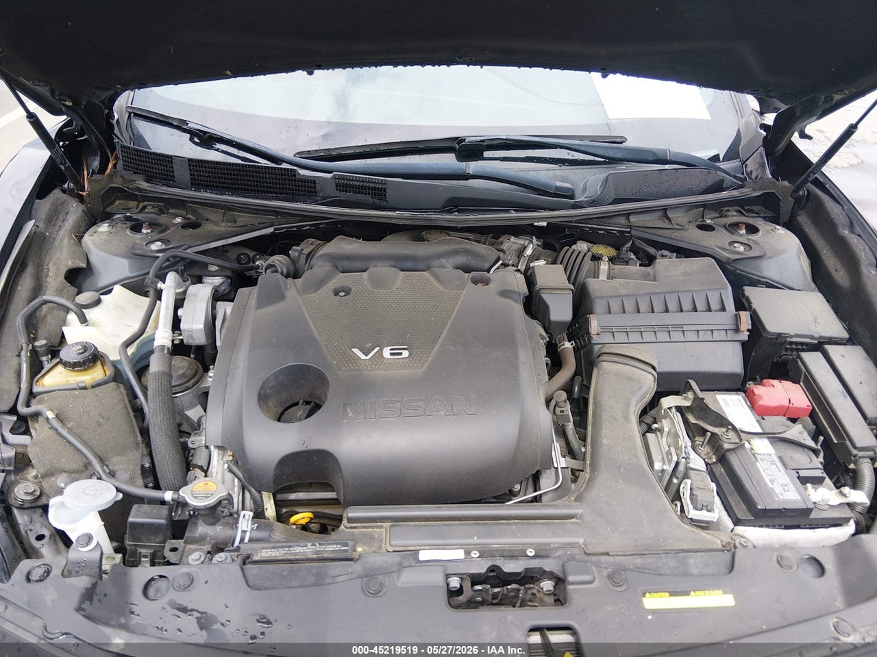 Image 10