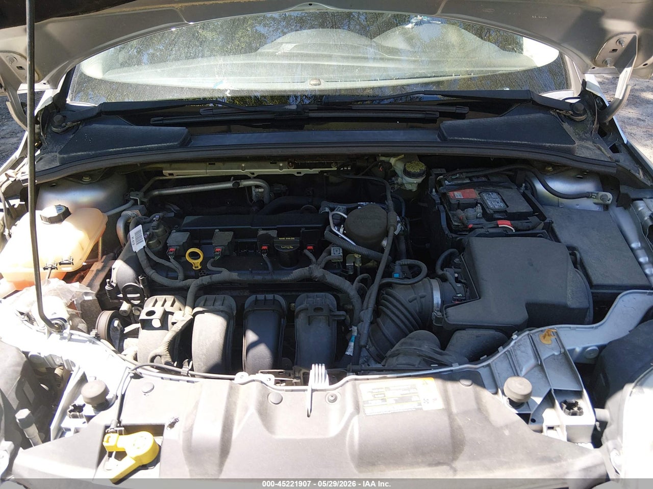 Image 10