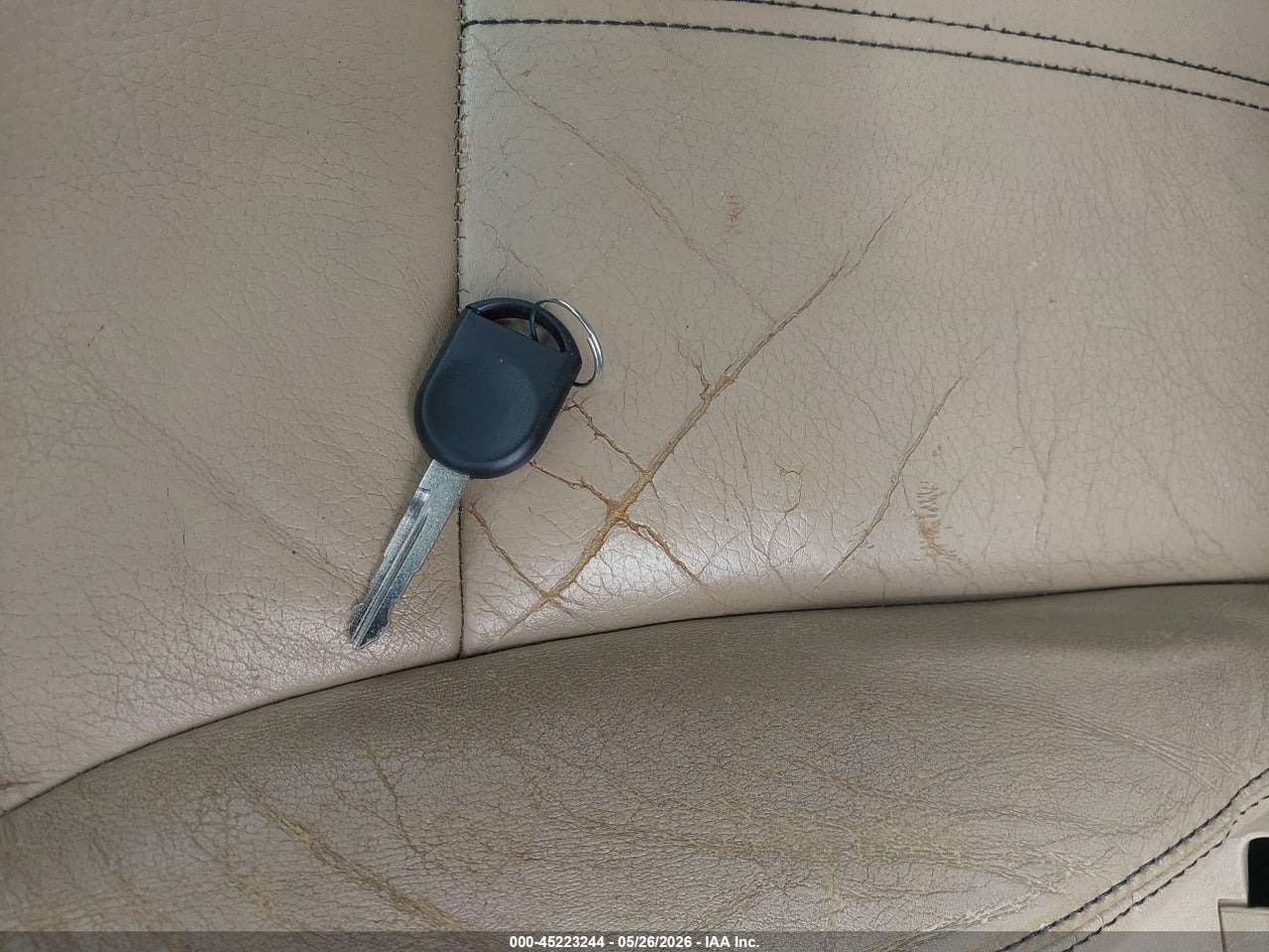 Image 11