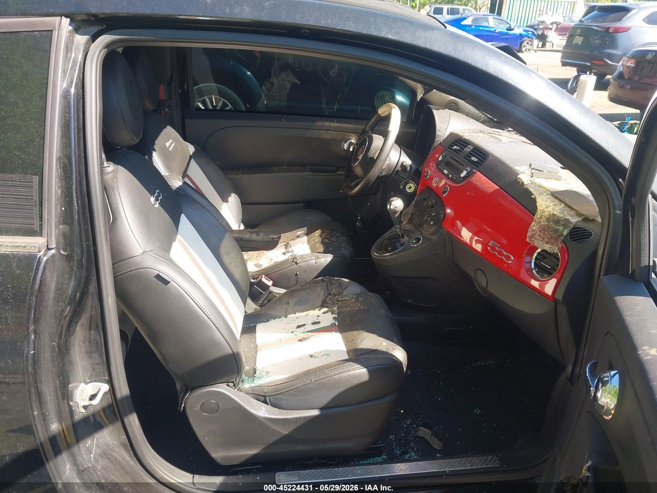 Image 5