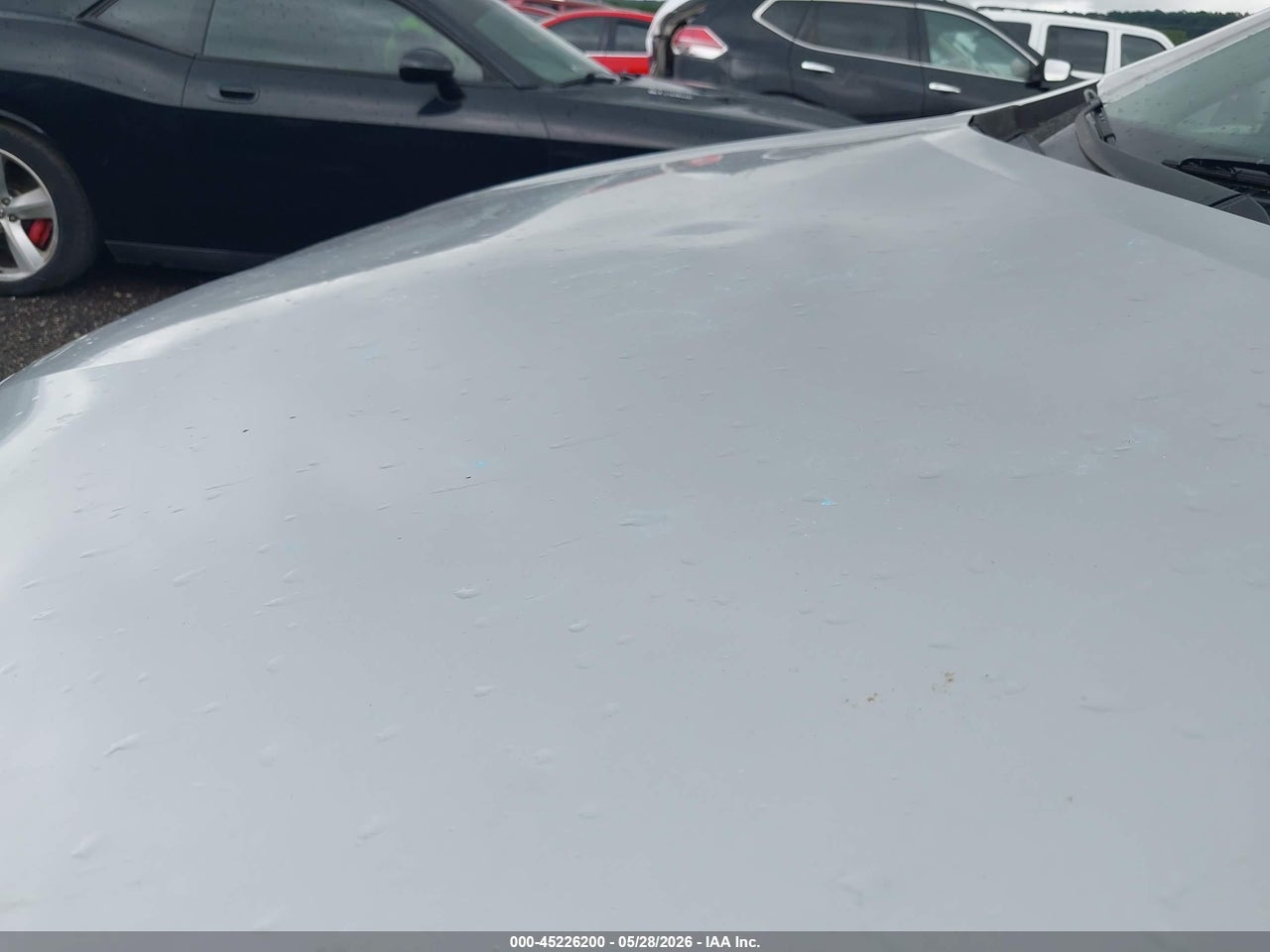 Image 6