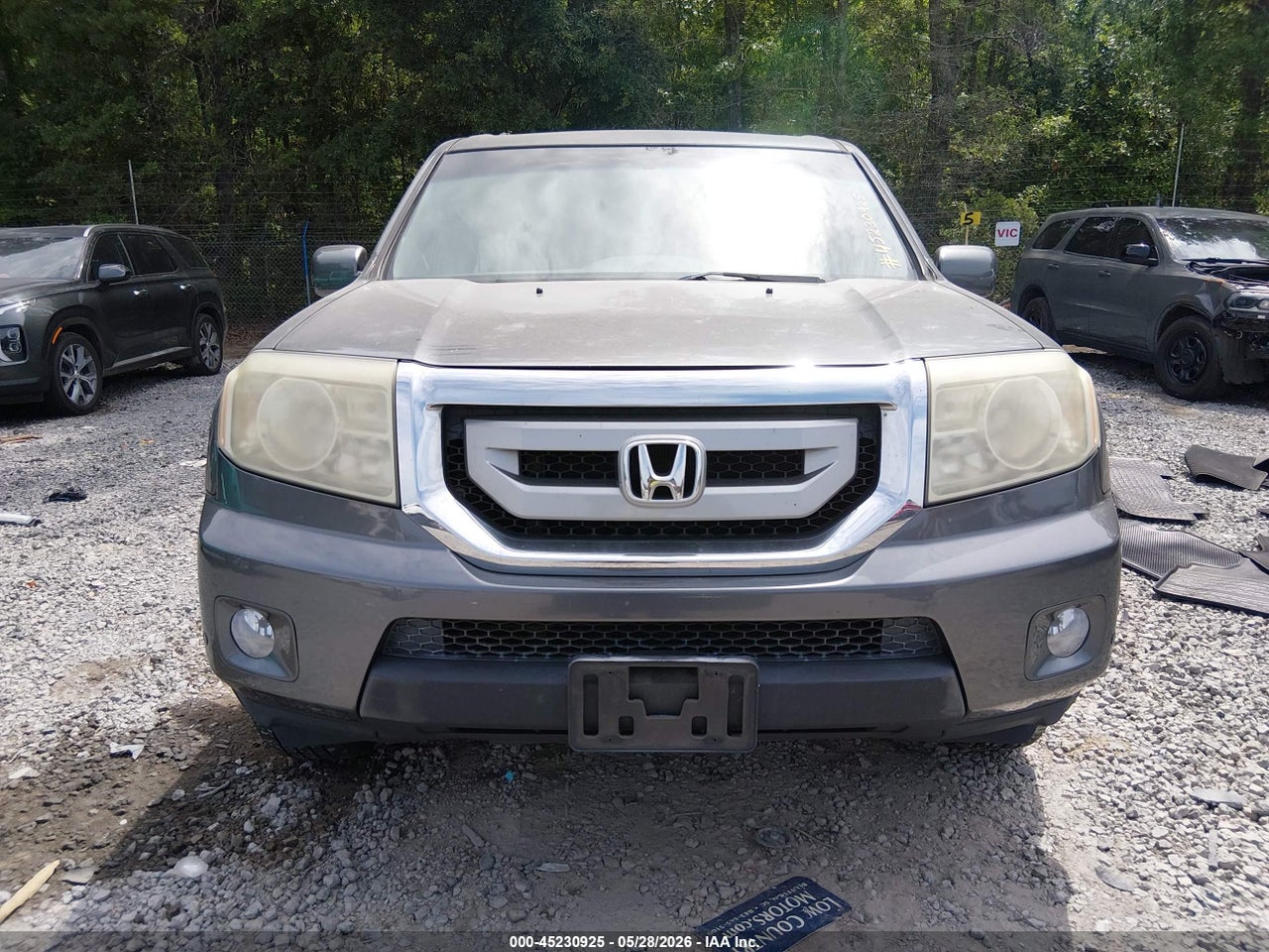 Image 12