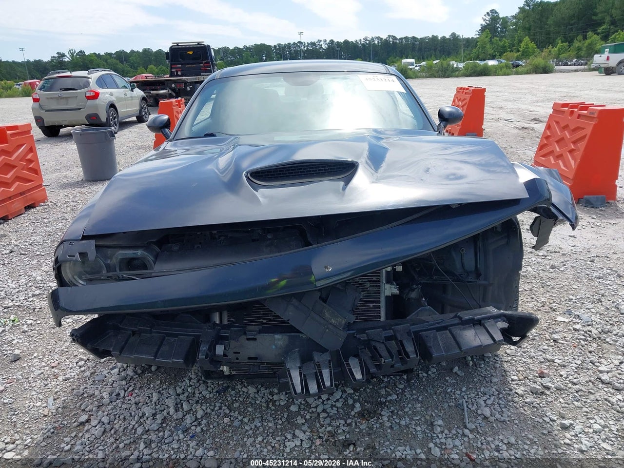 Image 12