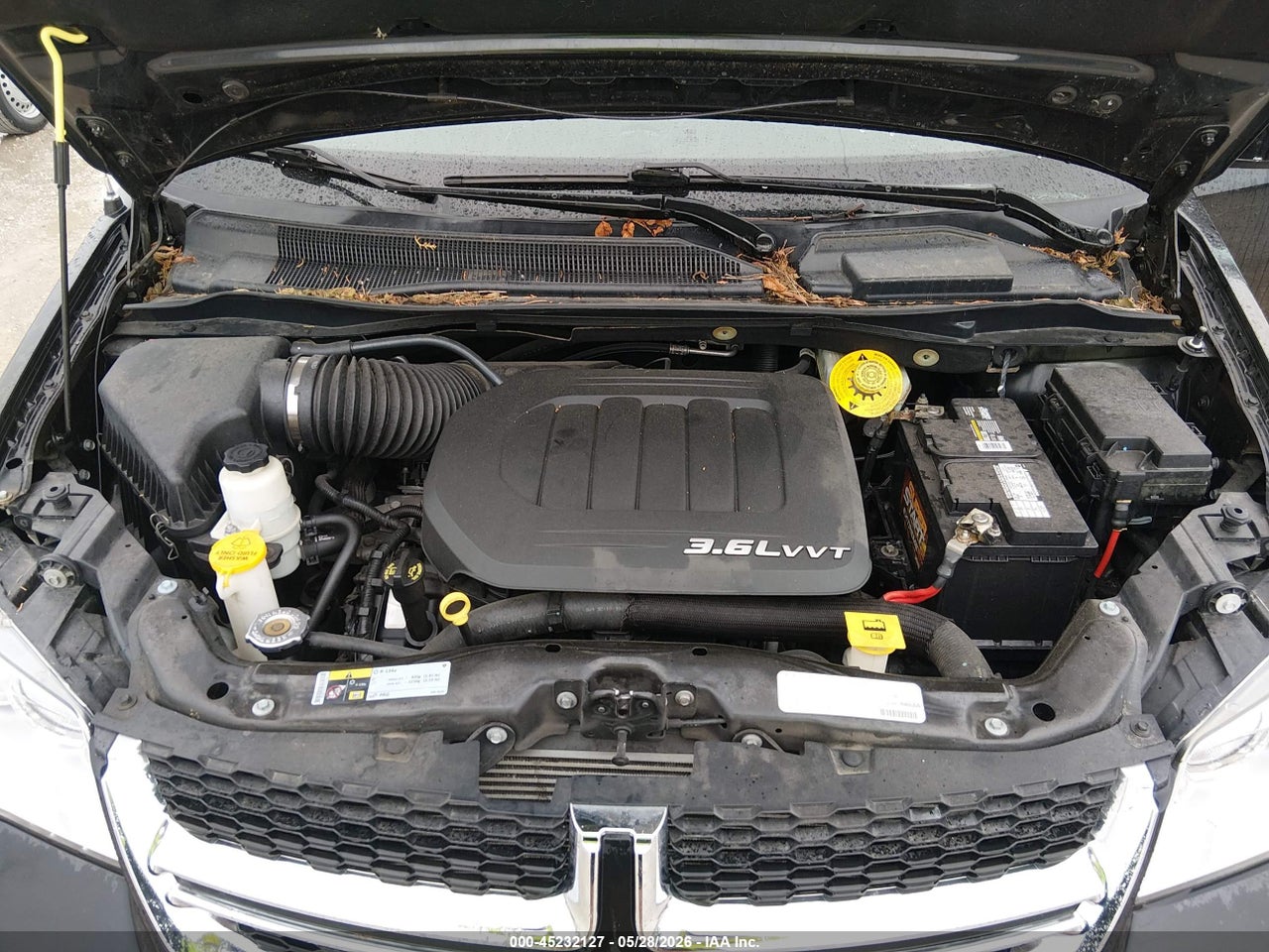 Image 10