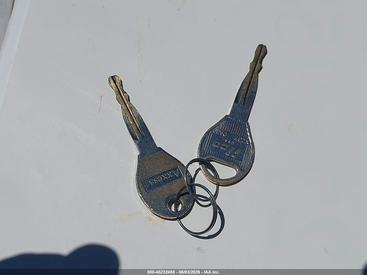 Image 11