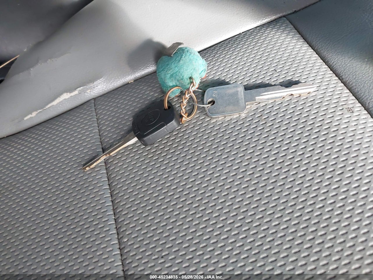 Image 11