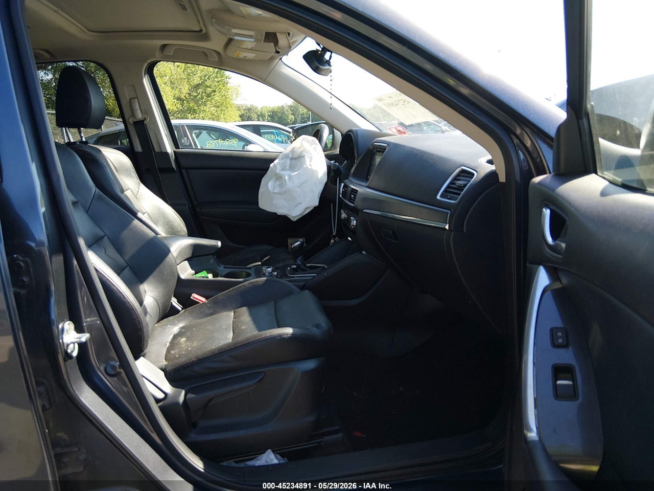 Image 5