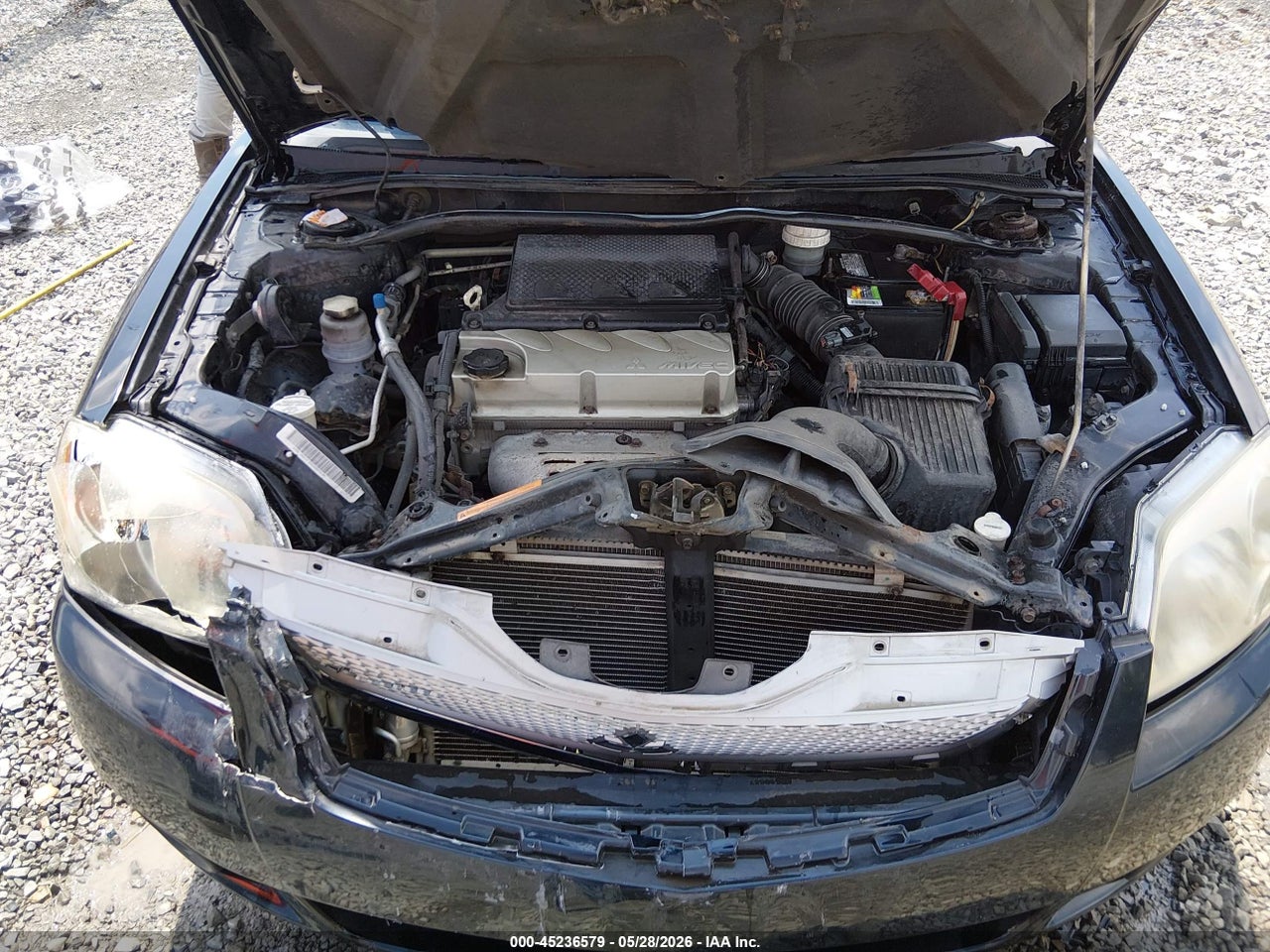 Image 10