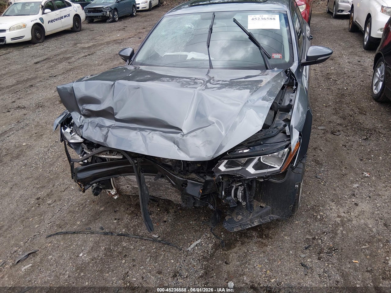 Image 6