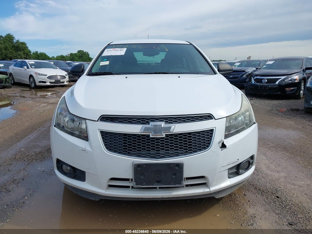 Image 13