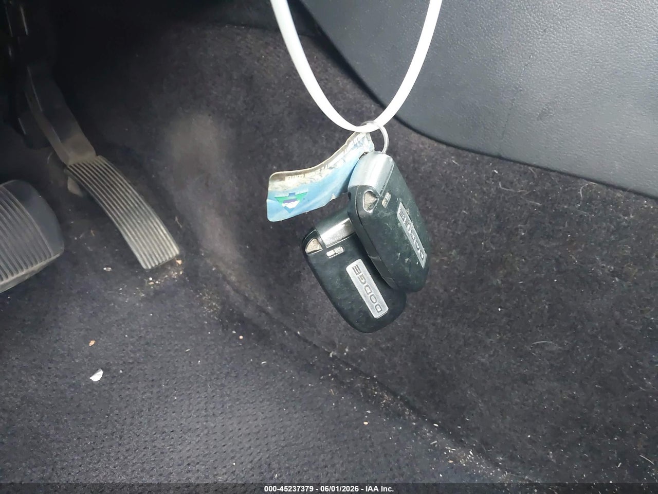 Image 11