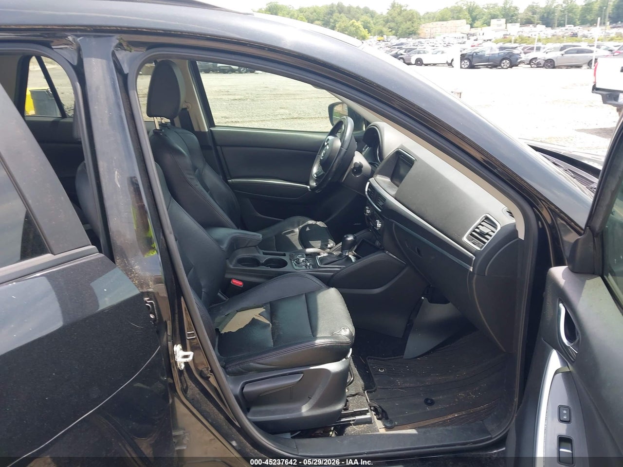 Image 5