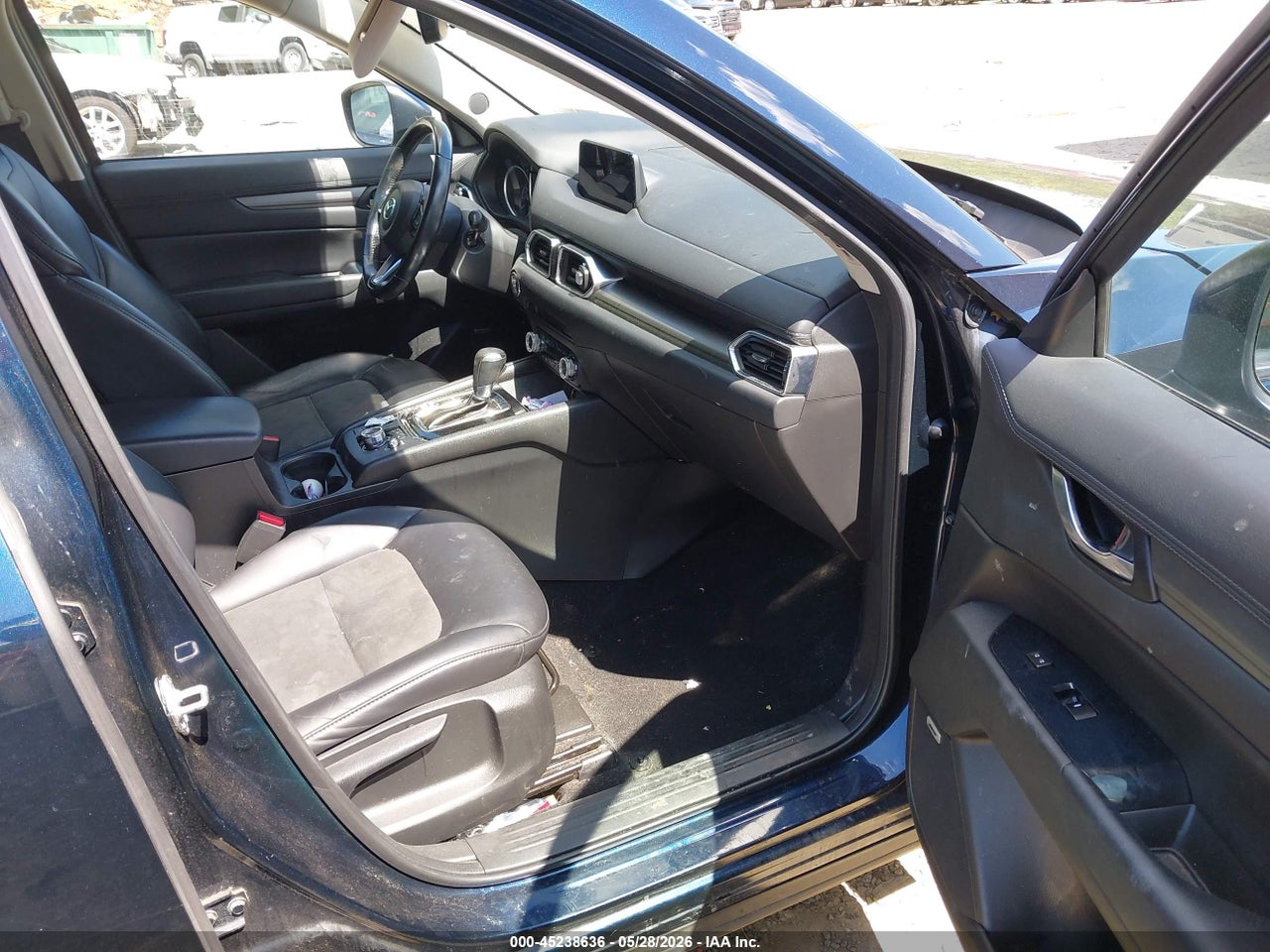 Image 5