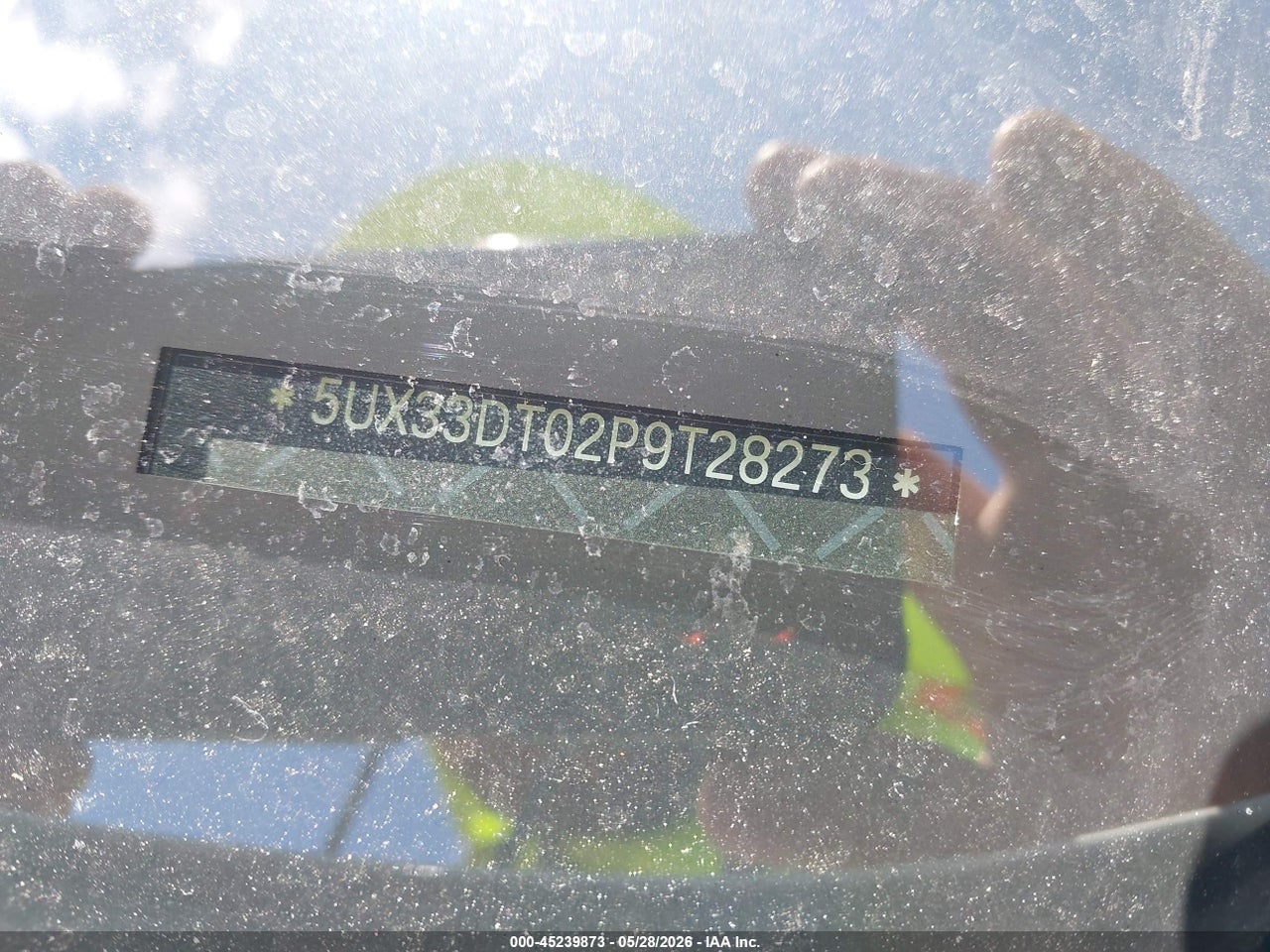 Image 17