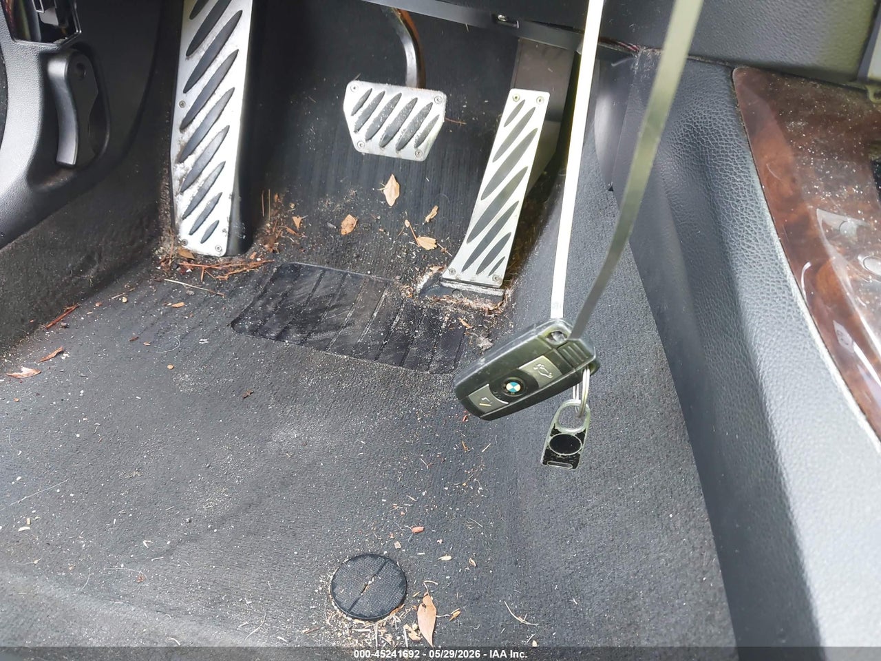 Image 11